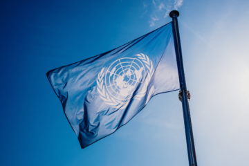 Bandera de la ONU